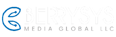 seo services cochin